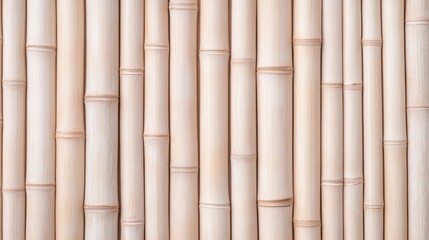 Fototapeta premium Bamboo Texture: Detailed close-up of vertical bamboo stalks showcasing their natural color and texture. Ideal for nature-inspired and eco-conscious design projects.