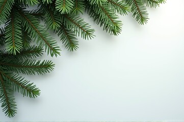 Obraz premium Fresh green branches gracefully frame a pale backdrop, inviting a sense of calm and tranquility. Ideal for winter festivities and seasonal celebrations, nature inspires joy