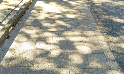 神社の境内の石畳に差し込む木漏れ日の写真素材