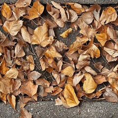 Dried Autumn Leaves Laying on a Sidewalk Seamless Pattern Texture