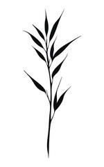 Elegant black and white illustration of a single plant with slender leaves. Simple, minimalist design.
