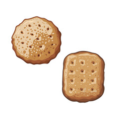 Crispy cookies Biscuit vector Illustration isolated on white background