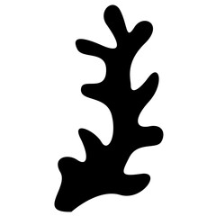 Obraz premium Corals