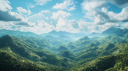 Fototapeta premium Landscape in Summer with Trees and Meadows in Full Bloom
