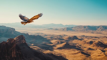 Naklejka premium Majestic eagle soaring over a vast desert landscape, showcasing rugged mountains and a vast expanse of arid terrain.