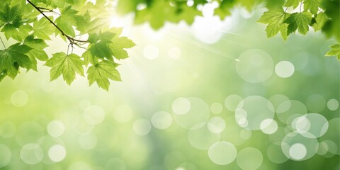 Fototapeta premium A vibrant springtime scene featuring lush green leaves bathed in sunlight, creating a tranquil and peaceful ambiance.