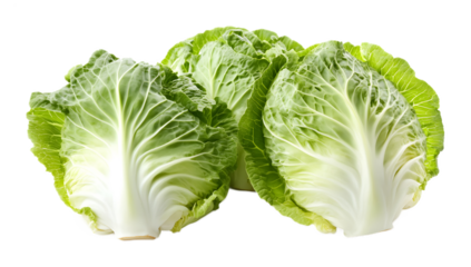 Chinese cabbage on a transparent background. isolated background.