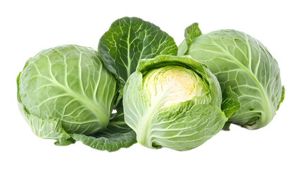 Fototapeta premium Chinese cabbage on a transparent background. isolated background.