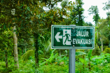 Evacuation Route Sign in Forested Area with Lush Greenery