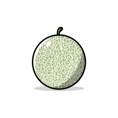 melon on white background