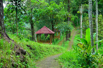 Serene Forest Path with Scenic Gazebos Among Lush Greenery