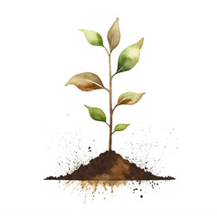 Watercolor young plant growing from soil
