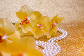 yellow Orchid and pearl necklace on a shiny gold background
