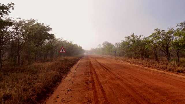 Misty dirt road leading to a quiet T junction, evoking solitude and mystery