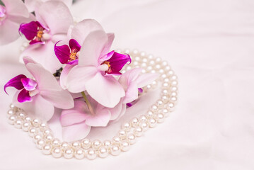 The branch of white orchids on white fabric background
