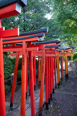 Red tori gates line a pathway in a park.
