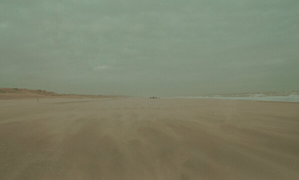 Beach in the netherlands analogue photography