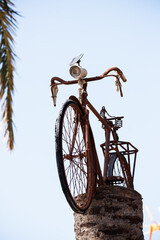 Bike on the trunk of a palm tree on the beach of Les Marines in Denia.