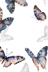 frame layout postcard watercolor butterflies
