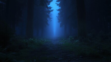 Mysterious foggy pathway through enchanted forest nature landscape serene environment