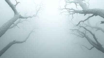 Misty forest scene enigmatic woods nature ethereal environment upward