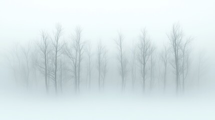 Foggy winter scene with bare trees a misty forest minimalist nature