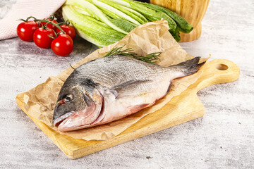 Raw dorada fish served rosemary