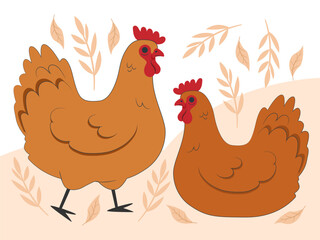 Chicken Concept Illustration Stylish and Beautiful