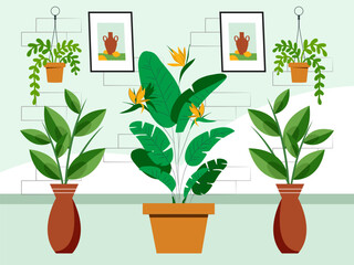 Plant Pot Concept Illustration Stylish and Beautiful