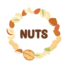 Set whole and half nut seed. Peanut, walnut, hazelnut, pistachio, almond and cashew. Nuts design, round frame. Vector illustration, isolated on white background, flat style.