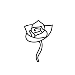 rose flower outline