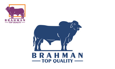 brahman cattle premium quality logo, silhouette of big and healthy cow standing vector illustrations