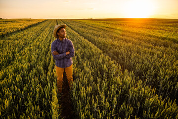 Fototapeta premium African farmer is standing in his growing wheat field. Successful farmer standing in agricultural field with arms crossed.
