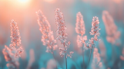 A dreamy, blurred bokeh effect with soft pastel tones and a central blank space