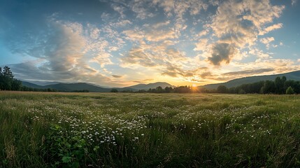 Obraz premium Golden Hour Meadow Sunset: Serene Landscape Photography. AI Generated