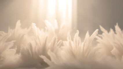 Fototapeta premium Soft, ethereal light illuminates delicate, feathery textures, creating dreamy atmosphere that evokes tranquility and serenity. scene captures sense of calm and beauty
