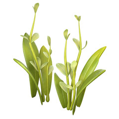 3D Nature Graphic Set