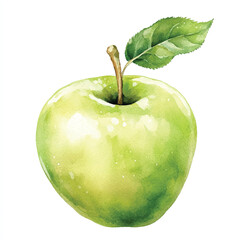 Water apple fruit watercolor clipart illustration