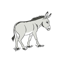 donkey vector art and illustration 