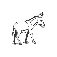 donkey vector art and illustration 