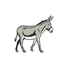donkey vector art and illustration 