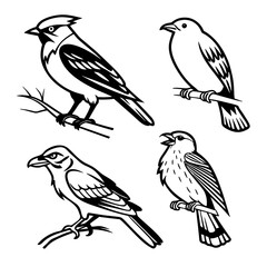 Fototapeta premium Set of Bird Silhouettes Perched on a Branch Vector Collection