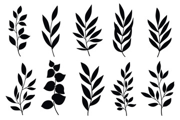 Branches and Leaves Silhouettes Set. Wild plants leaves black silhouettes isolated on white background