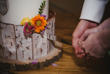 Wedding Cake cutting