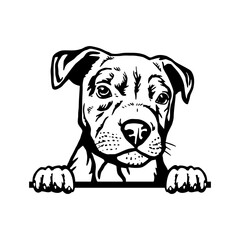 Peeking Puppy American Pit Bull - Dog Breed, Puppy Breed Vector File, detailed vector