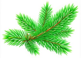 Festive green fir branch clipart on a white background, featuring a long exposure effect. Perfect for holiday designs, winter illustrations, seasonal graphics, and Christmas decorations.