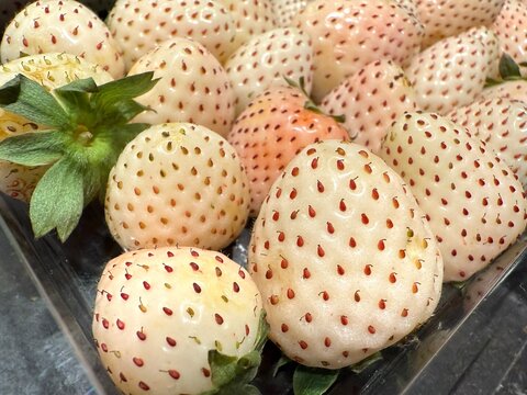 White strawberries in a plastic bowl