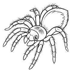 tarantula