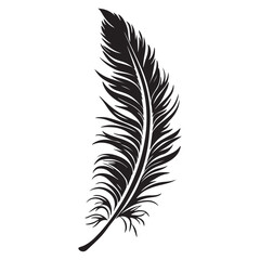 Feather icons vector. Bird feather silhouette illustration isolated on white background