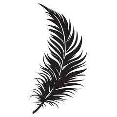 Obraz premium Feather icons vector. Bird feather silhouette illustration isolated on white background